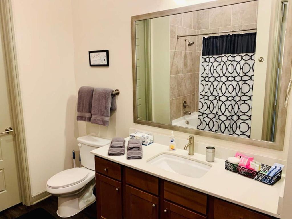 Downtown Apt Free Parking - Pool - Gym - Fully Kitchen ヒューストン エクステリア 写真